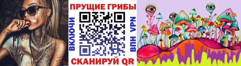 Купить закладки  Серов  Псилоцибиновые грибы Cubensis 